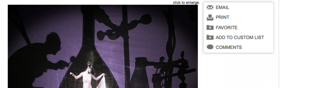 Chronogram / 2013